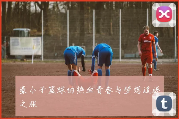 豪小子篮球的热血青春与梦想追逐之旅