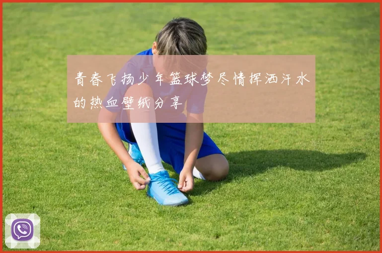 青春飞扬少年篮球梦尽情挥洒汗水的热血壁纸分享