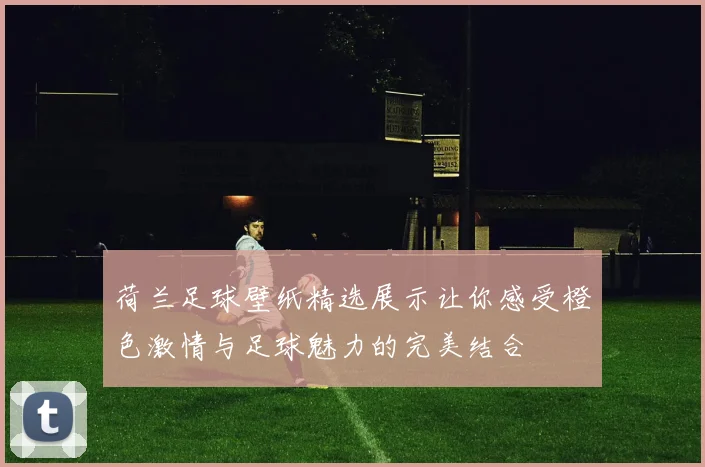 荷兰足球壁纸精选展示让你感受橙色激情与足球魅力的完美结合