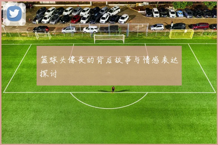 篮球头像丧的背后故事与情感表达探讨