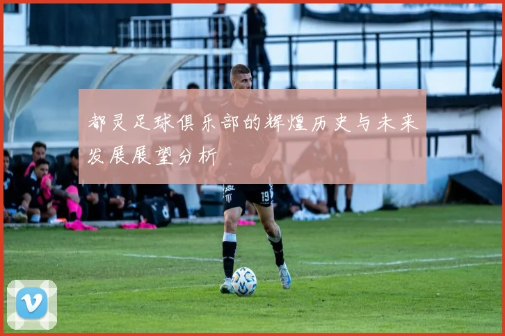 都灵足球俱乐部的辉煌历史与未来发展展望分析